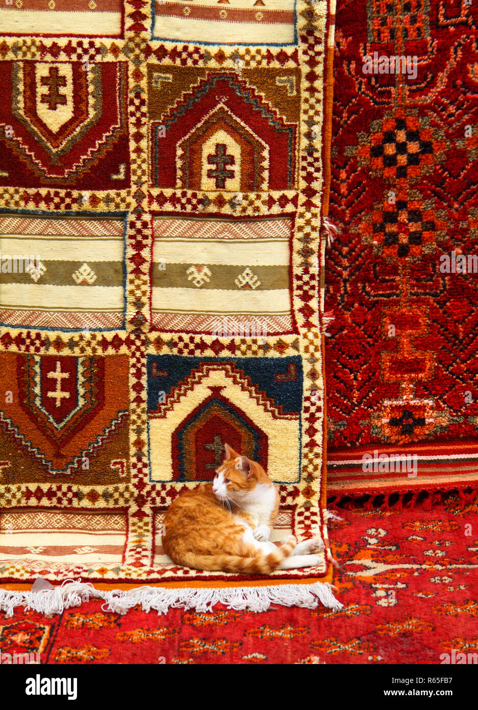 Morocco berber carpet hires stock photography and images Alamy