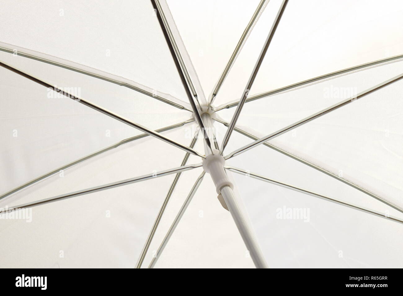 translucent screen for photography Stock Photo - Alamy