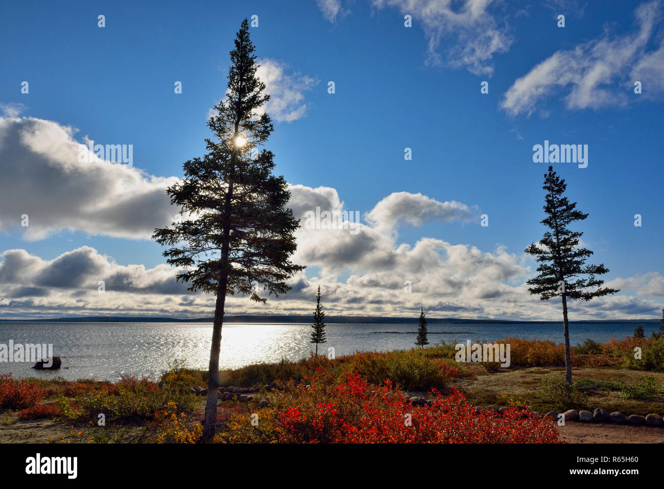 Ennadai Lake and morning clouds, Arctic Haven Lodge, Nunavut Territory, Canada Stock Photo