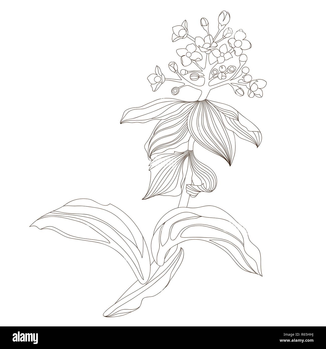 Floral design, vector illustration Stock Vector