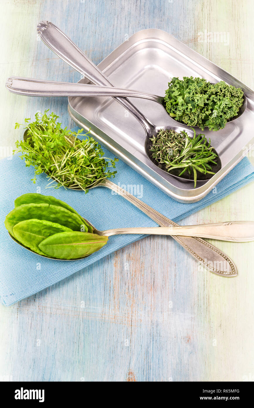 vitamins different herbs on spoons Stock Photo Alamy