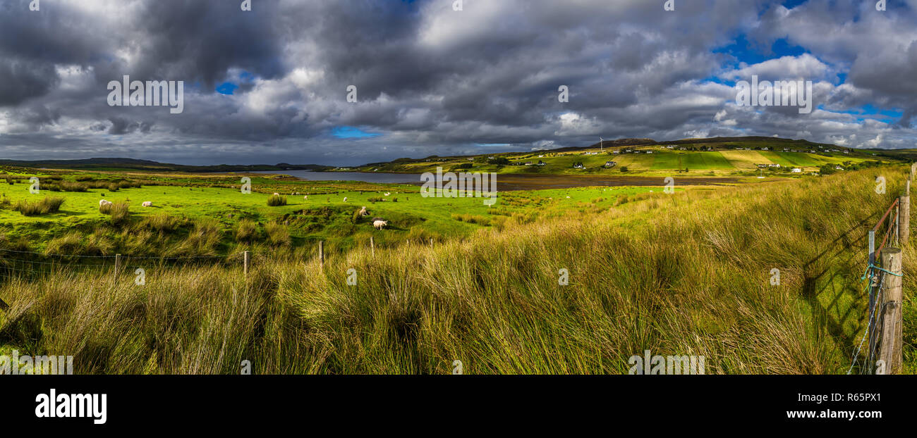 Flock Of Sheep And Remote Settlement In Coastal Landscape On The Isle ...
