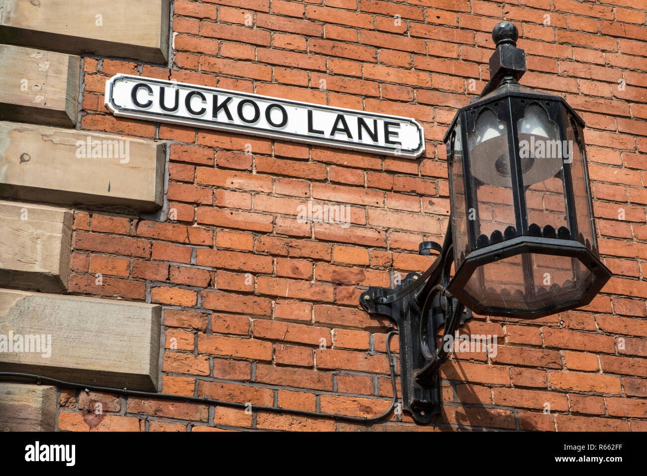 cuckoo lamp