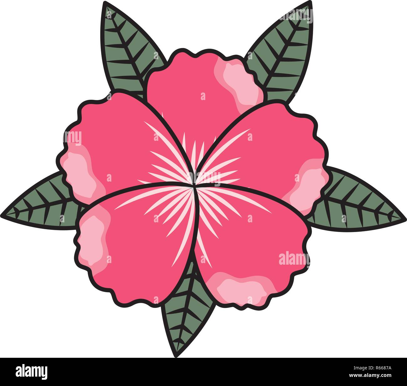flower leaves foliage on white background vector illustration Stock ...