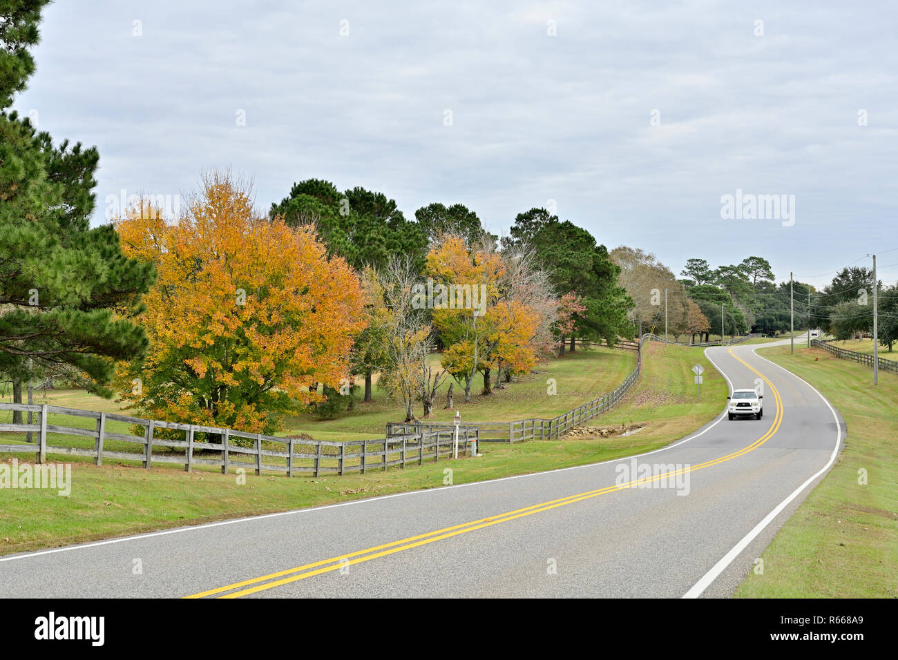 Quiet winding country road or lane with a split rail fence and trees changing into Fall colors in south Alabama, USA, with a white car approaching. Stock Photo
