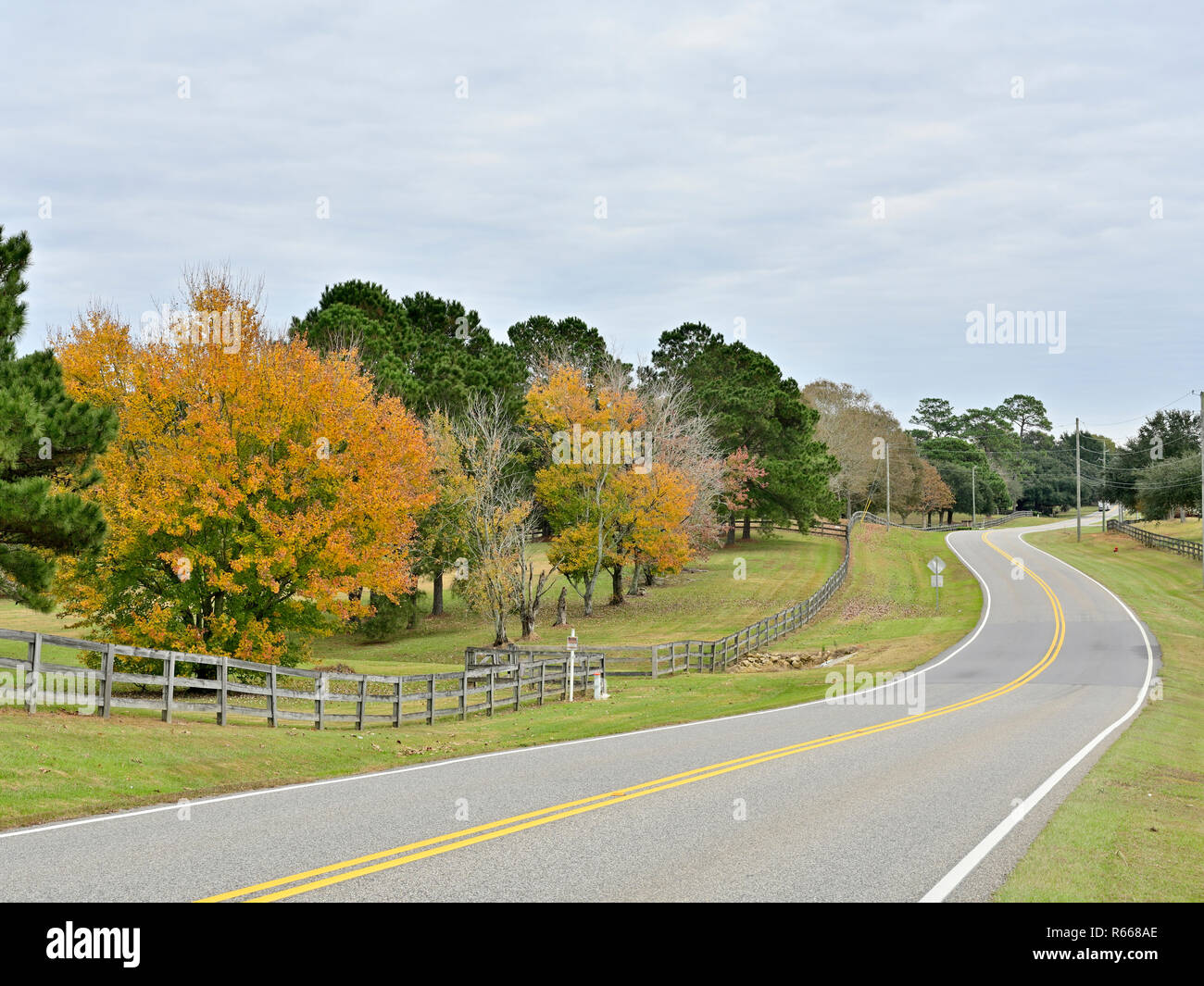 Quiet winding country road or lane with a split rail fence and trees changing into Fall colors in south Alabama, USA. Stock Photo