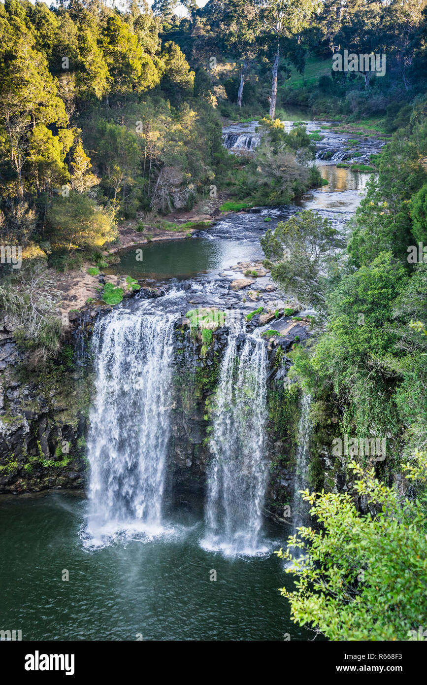 Dangar Falls of the Bielsdown River near Dorrigo in the Northern Tablelands of New South Wales, Australia Stock Photo