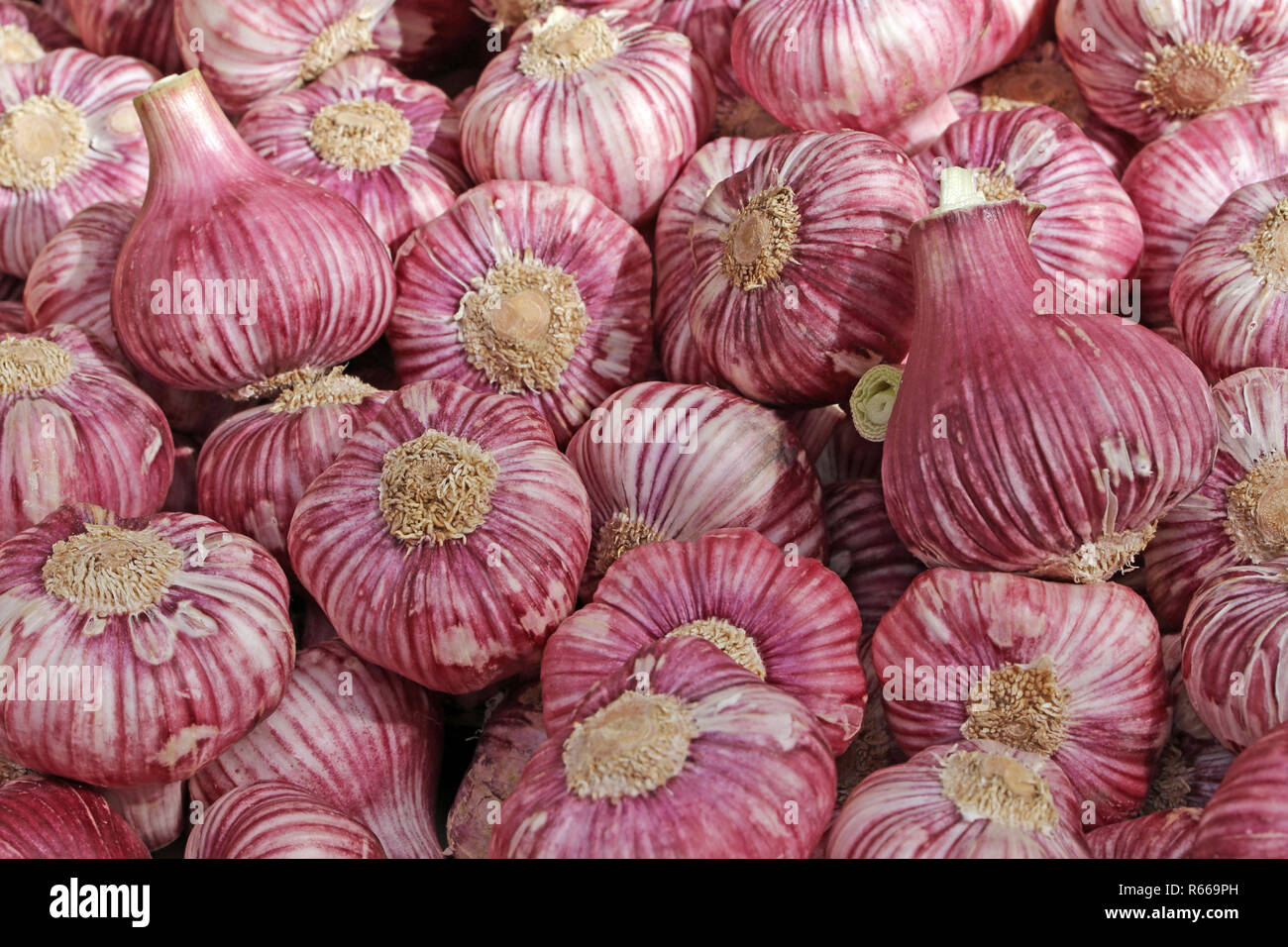 red onions at the farmers market Stock Photo - Alamy