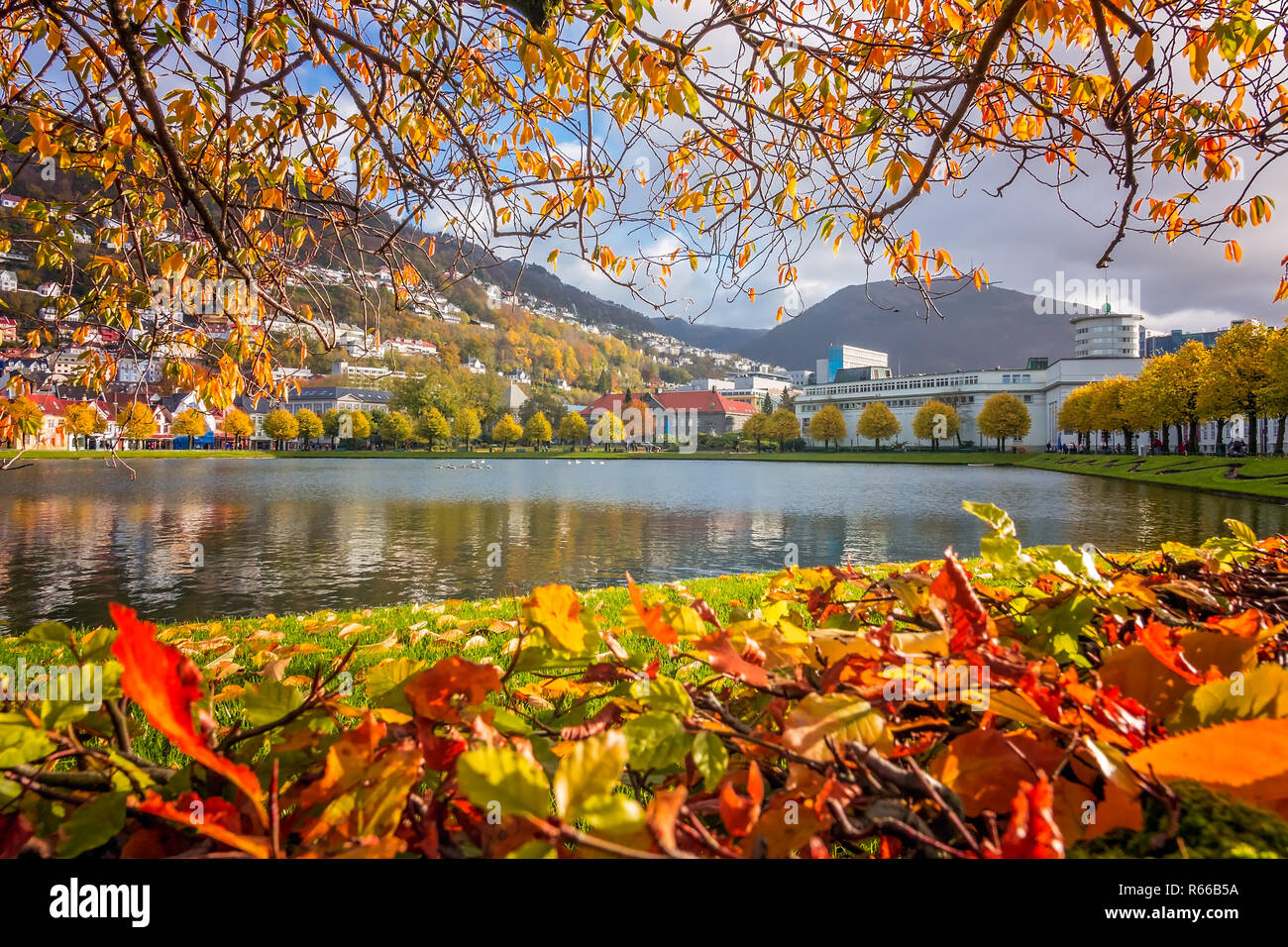 Landscape lille lungegardsvannet lake hi-res stock photography and images - Alamy
