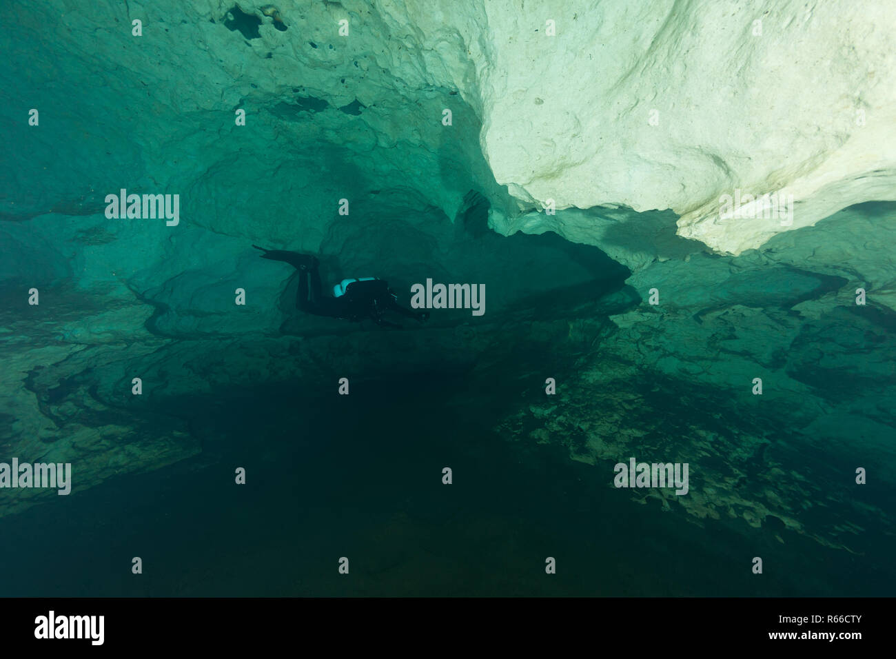 divers underwater caves diving Florida United States of America Stock