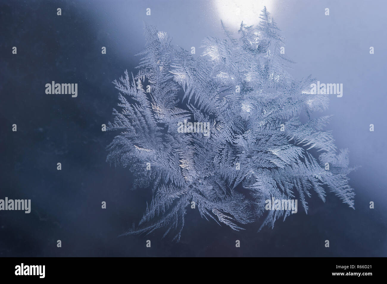 Winter Holidays Season Fantasy World Concept: Macro Image of Natural Ice Crystals Patterns on a Frosted Window Pane With Sun Glow. Hoarfrost Backgroun Stock Photo