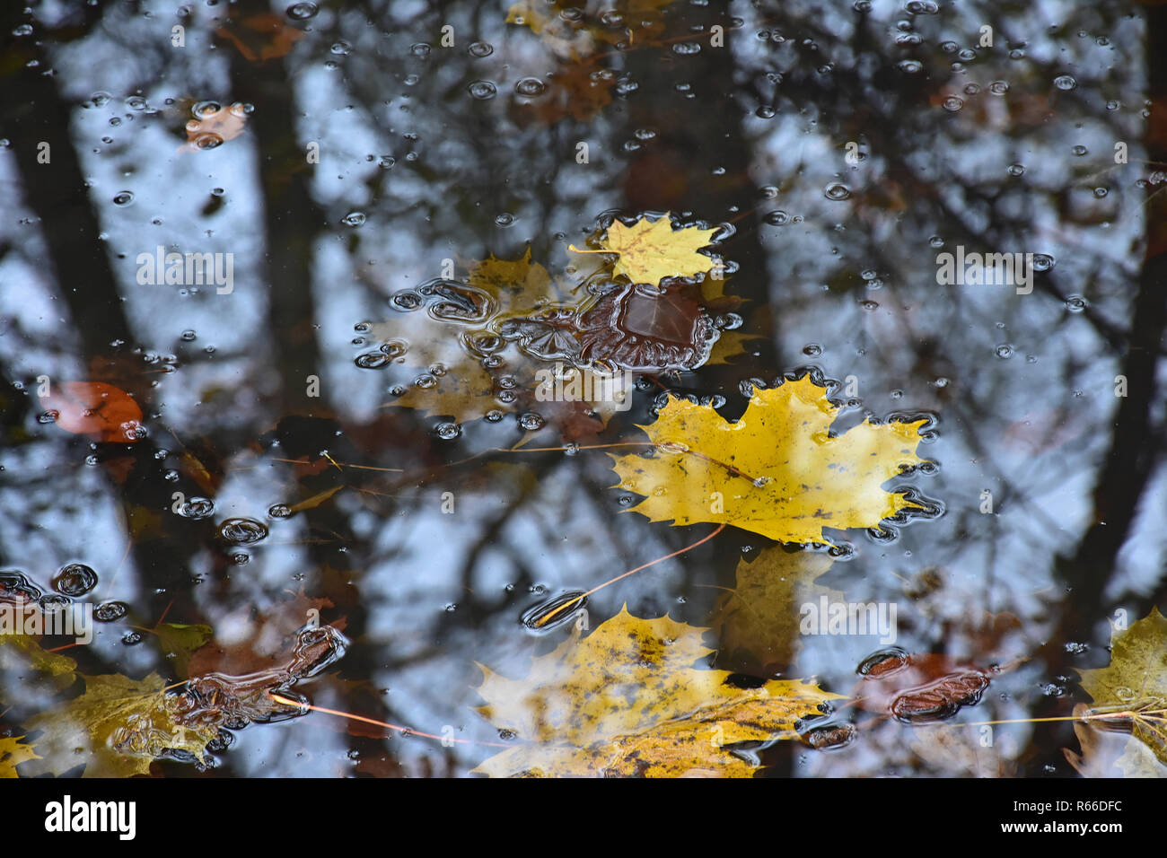 rainy november Stock Photo