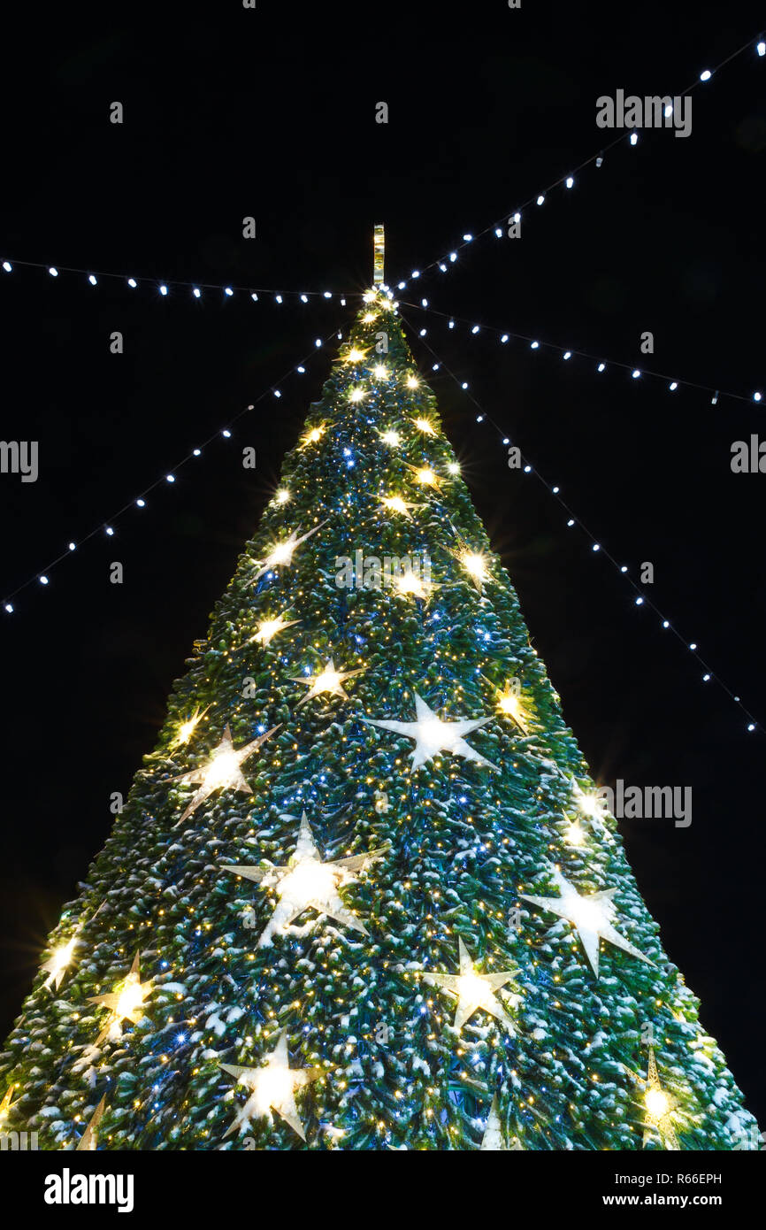 Christmas tree decorated with stars as background Stock Photo - Alamy