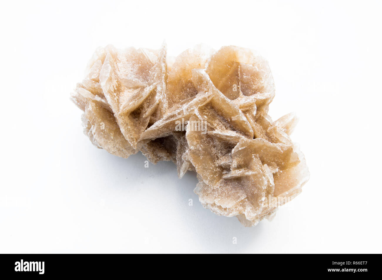 Desert rose isolated hi-res stock photography and images - Alamy