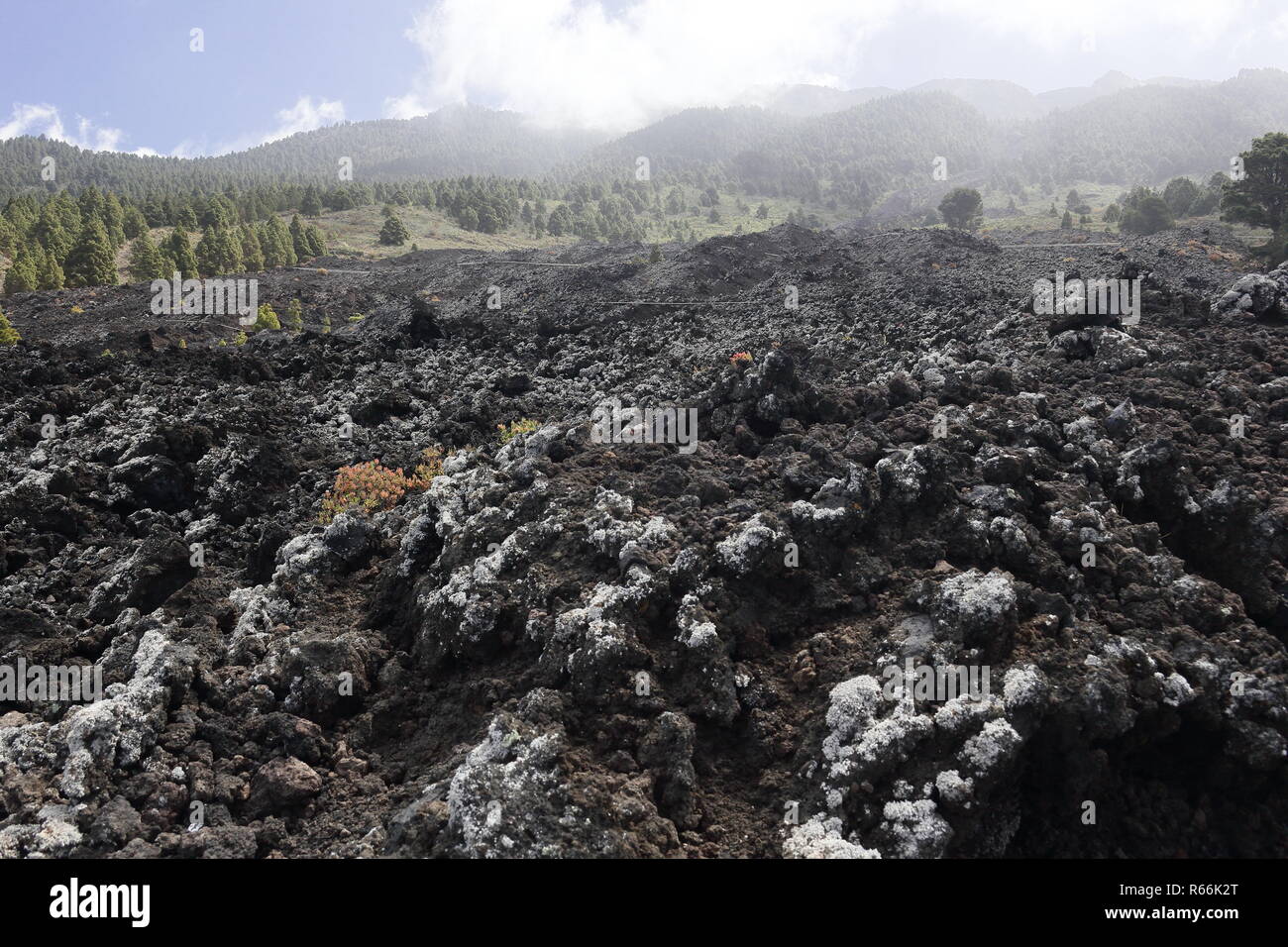 lava field on la palma Stock Photo