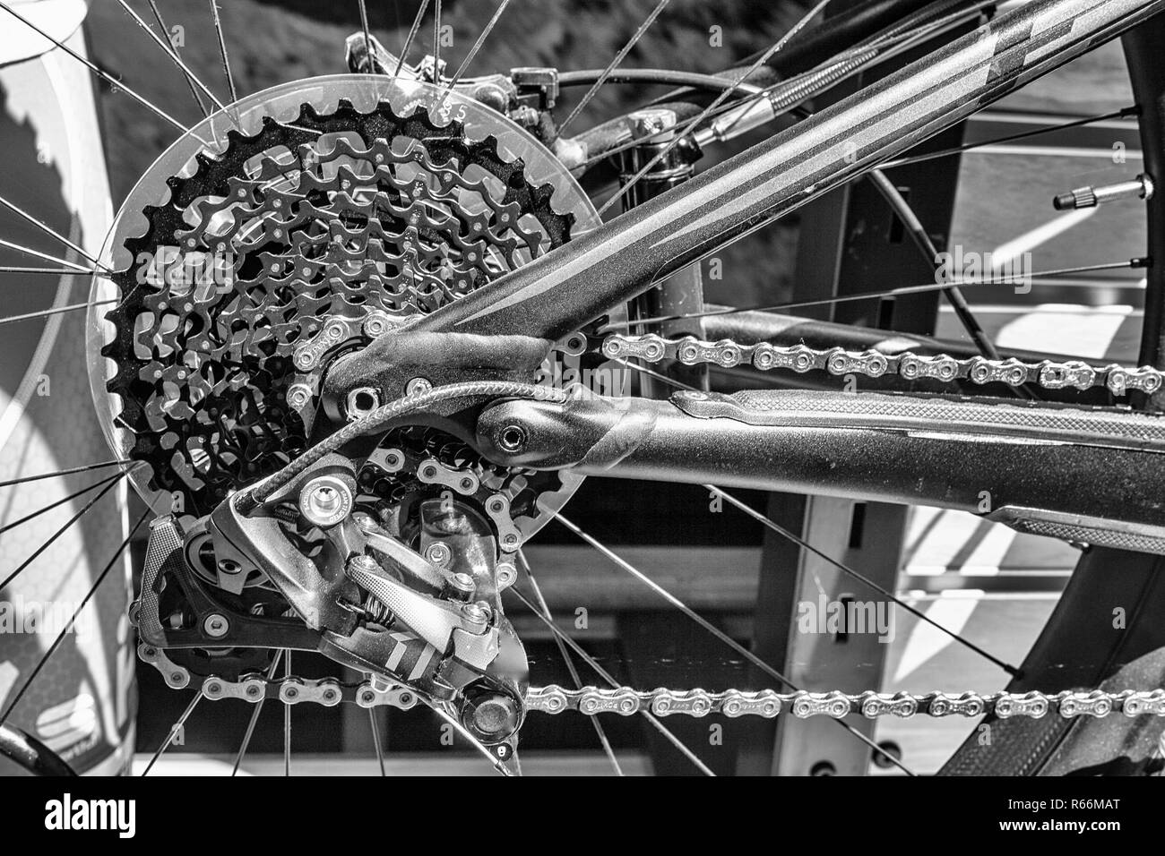 racing bike chain