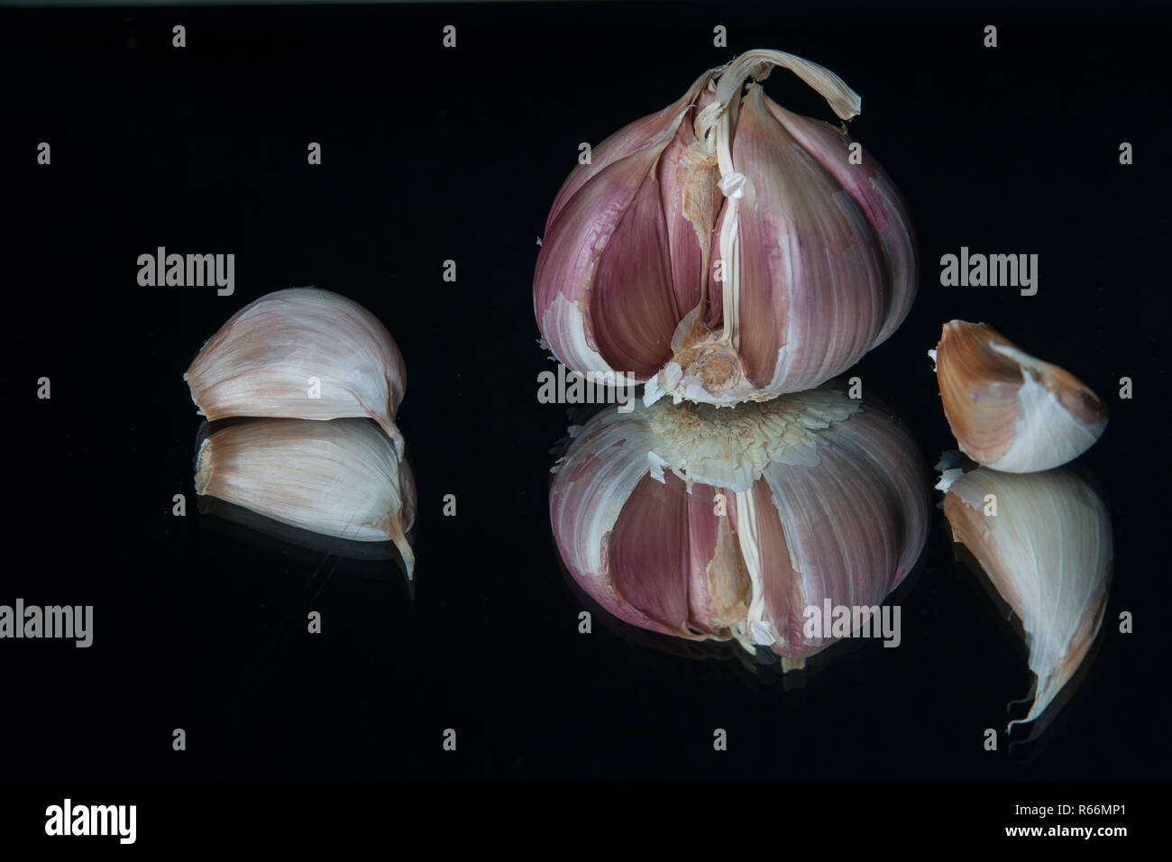 garlic varaitionen Stock Photo