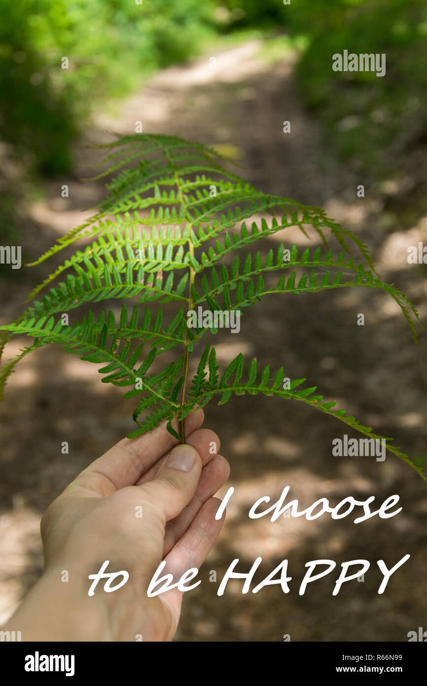 Personal point of view of woman's hand holding fern leaf pointing the way ahead, with text 'I choose to be Happy' Stock Photo