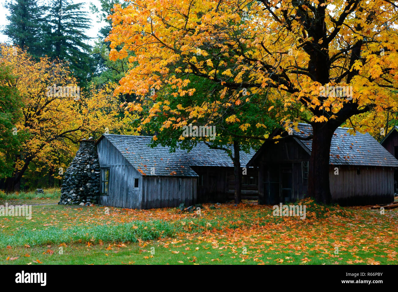 Historic buckner orchard homestead north cascades national park hires