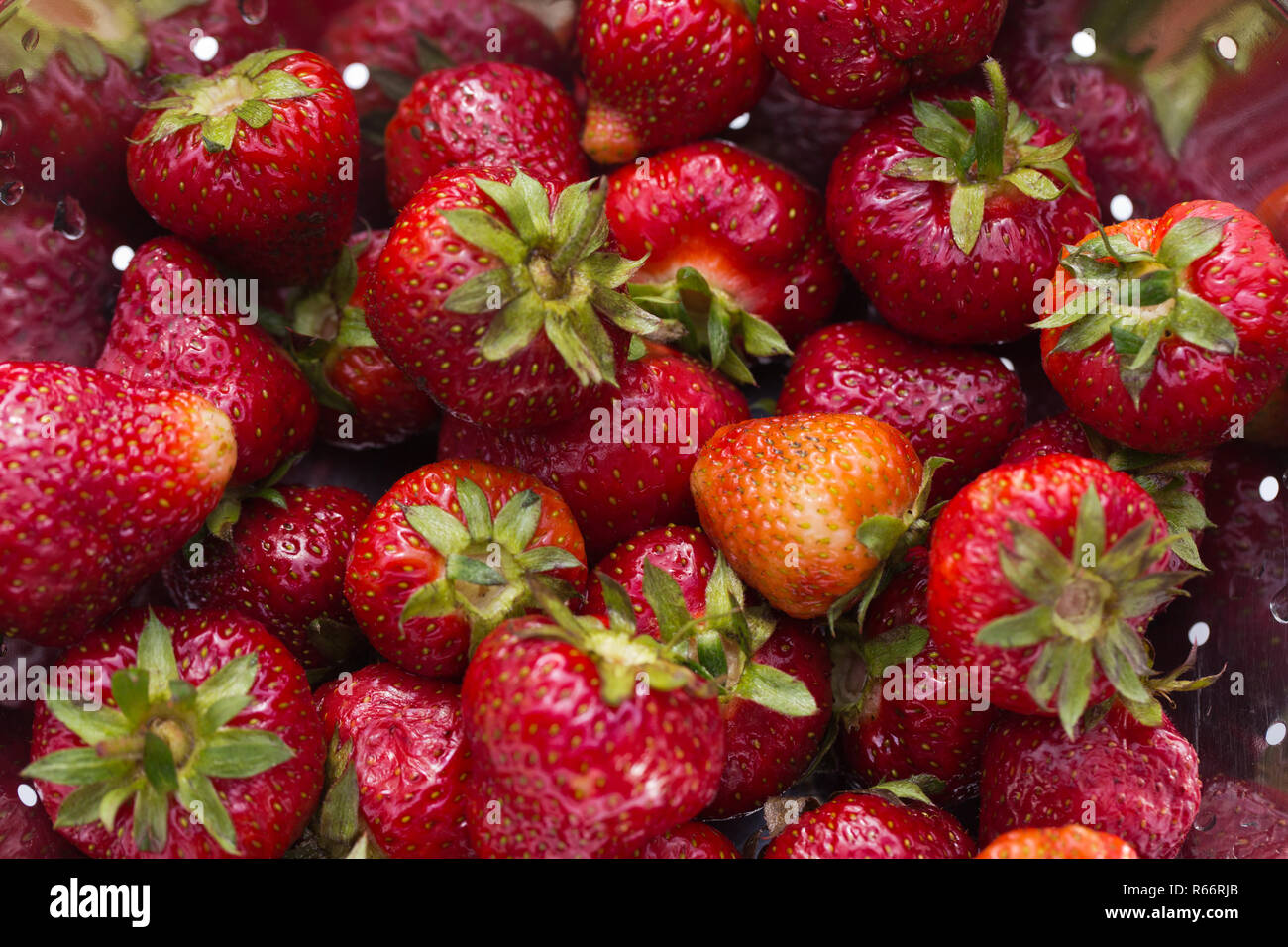 Fresh ripe strawberry Stock Photo - Alamy