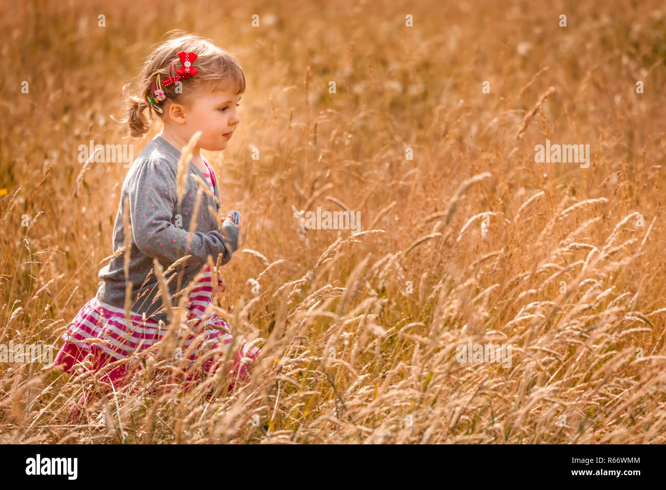 Walking through the high grass Stock Photo Alamy