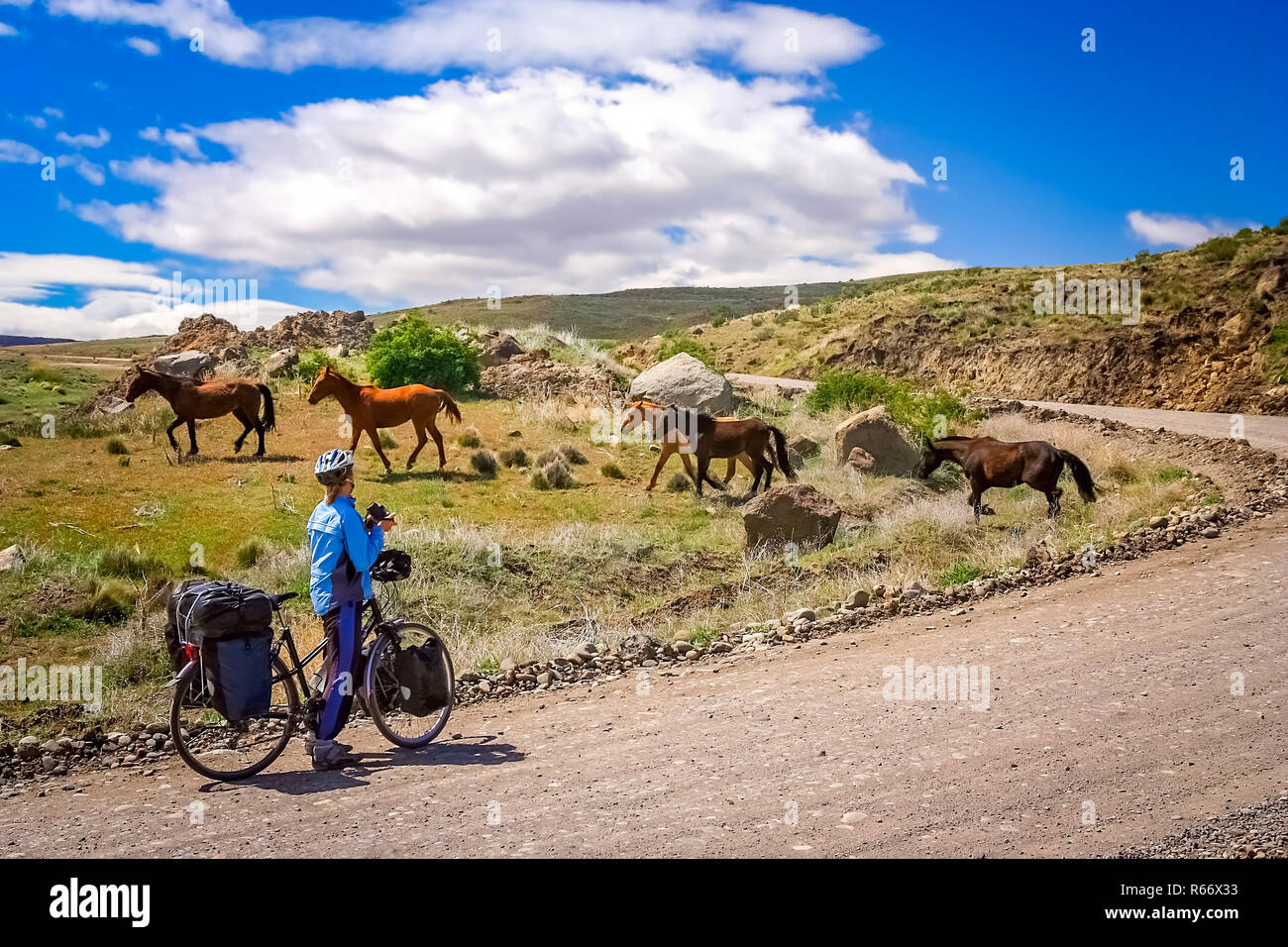 Cyclist encounter with wild horses in Patagonia Stock Photo