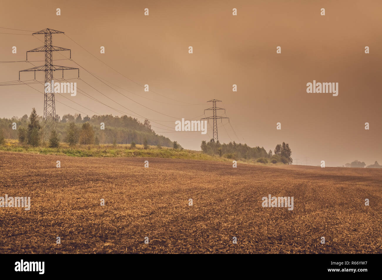 Electric poles in the field Stock Photo - Alamy
