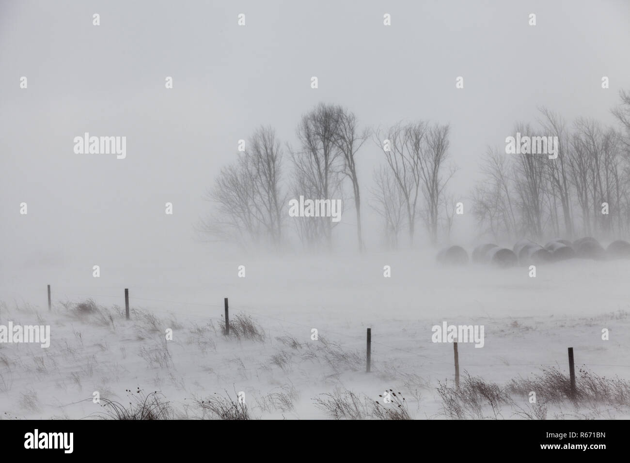Blizzard conditions in farm country, Mohawk Valley, New York State, USA Stock Photo Alamy