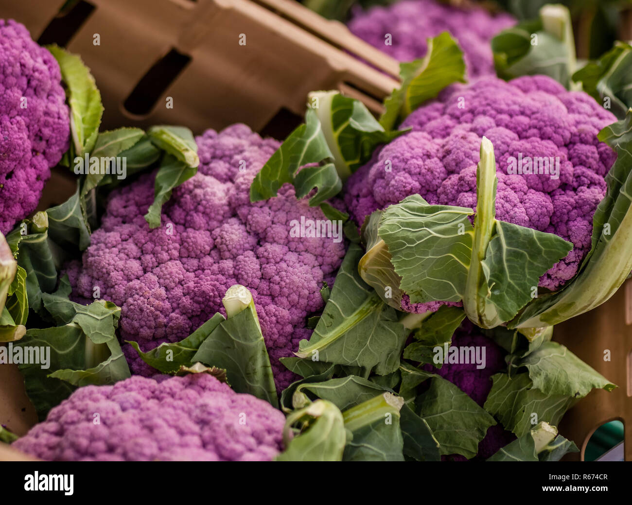 Pink cauliflower on the market Stock Photo Alamy