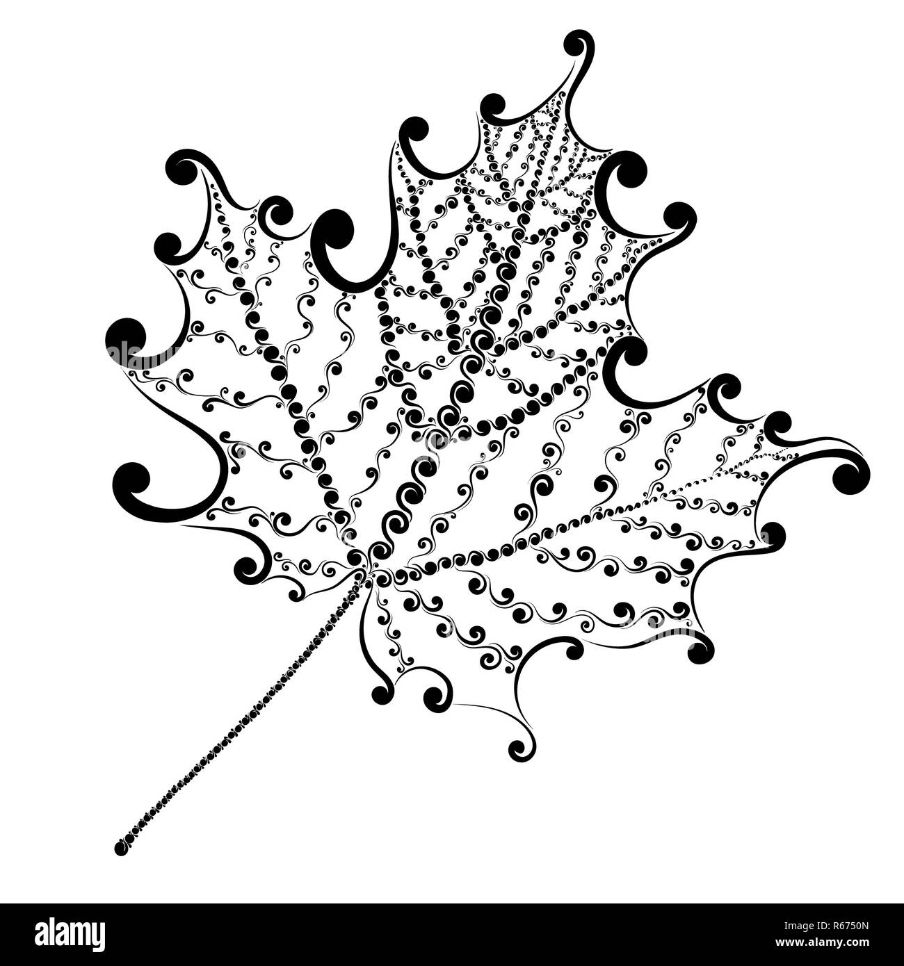 Beautiful maple leaf Black and White Stock Photos & Images - Alamy