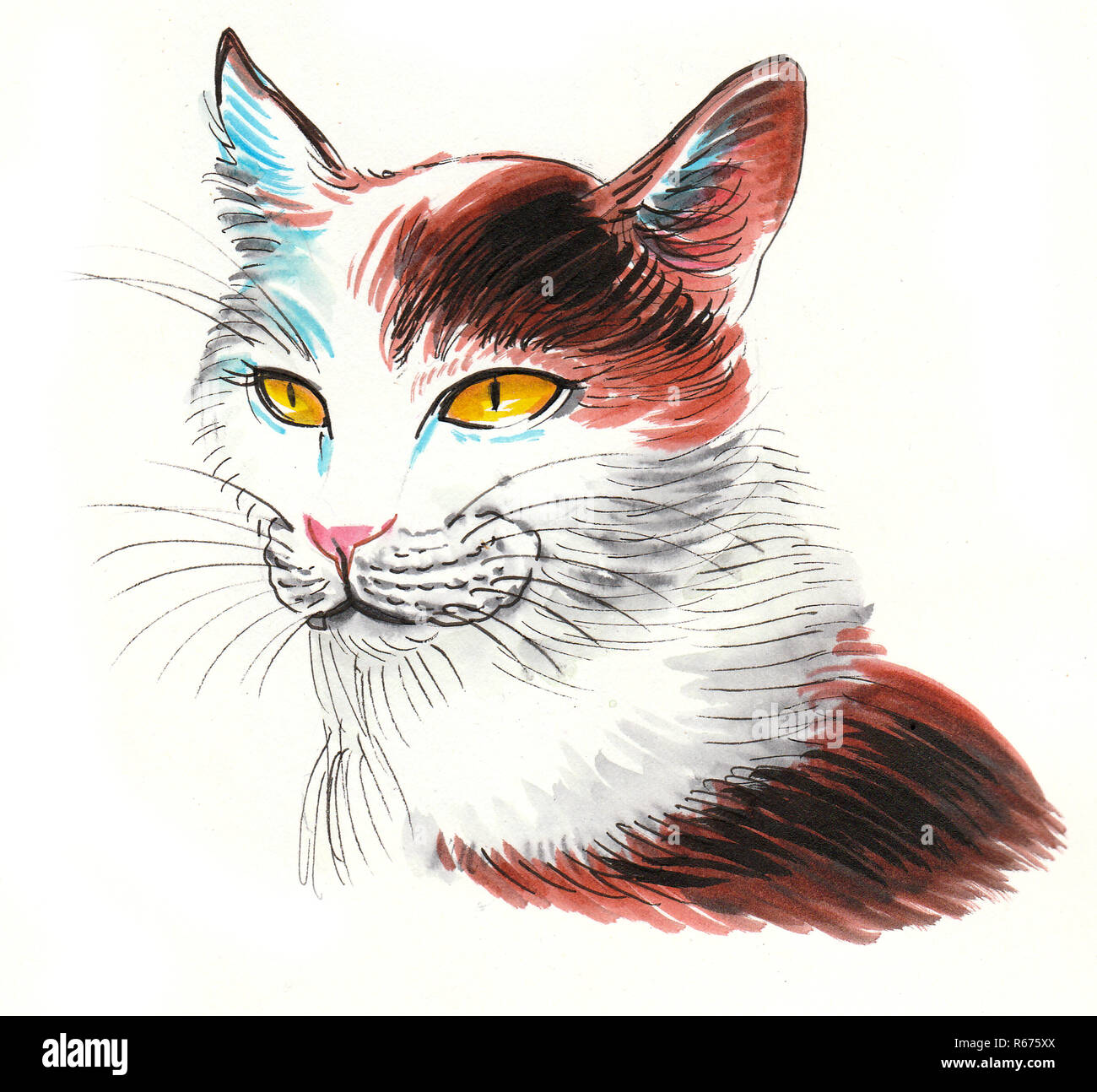 Cat with yellow eyes. Ink and watercolor drawing Stock Photo - Alamy