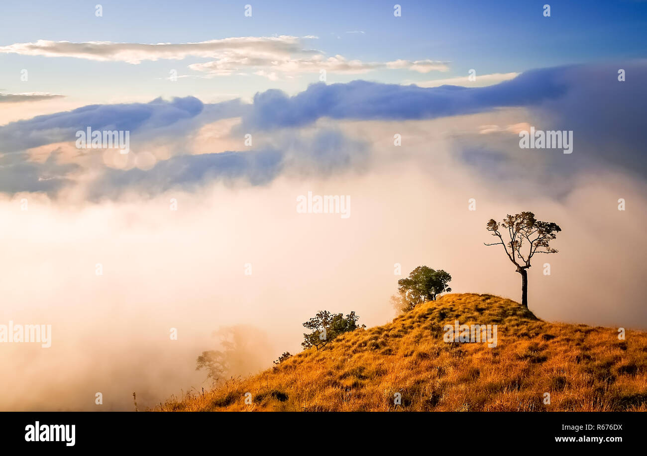View From Gunung Rinjani Stock Photo Alamy