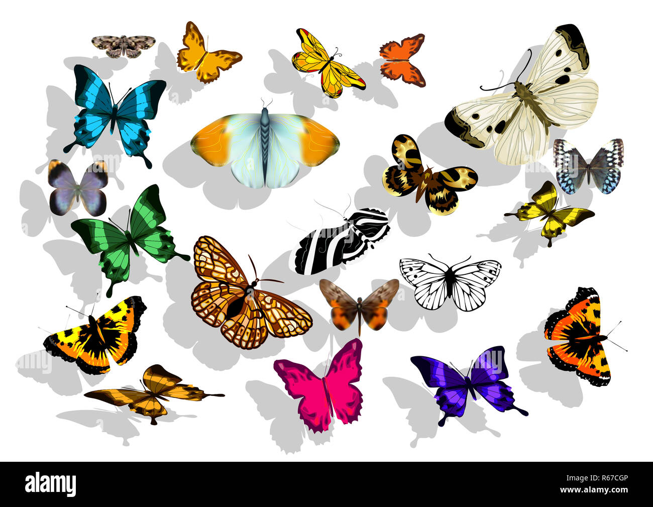set of butterflys Stock Photo - Alamy