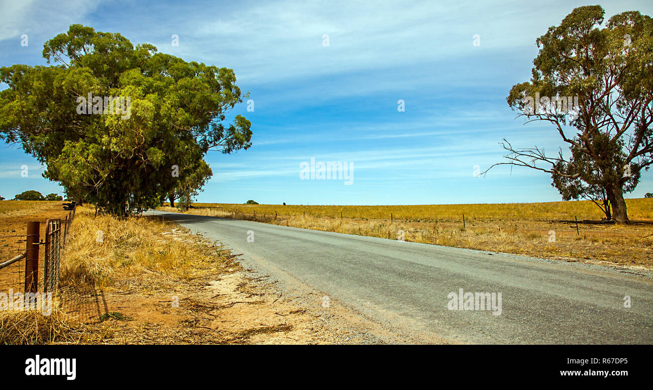 in the outback at narrandera new south wales australia Stock Photo