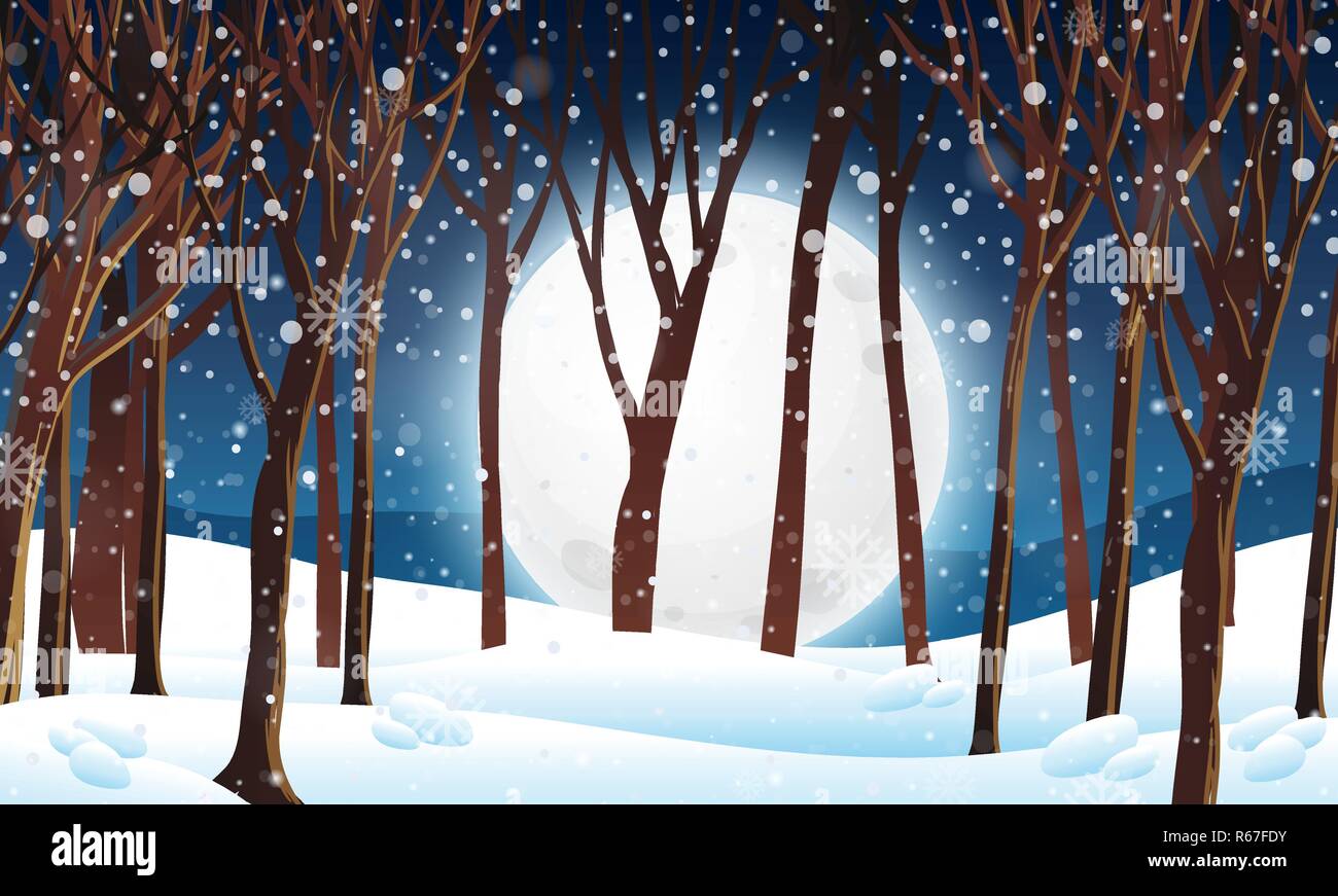 Winter forest at night scene illustration Stock Vector Image & Art - Alamy