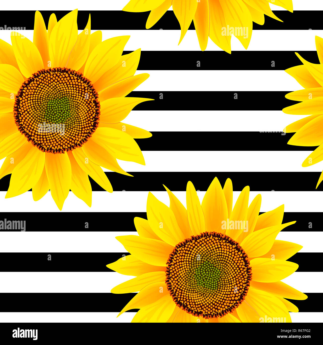 Sunflowers on a striped black and white. Seamless vector pattern Stock ...