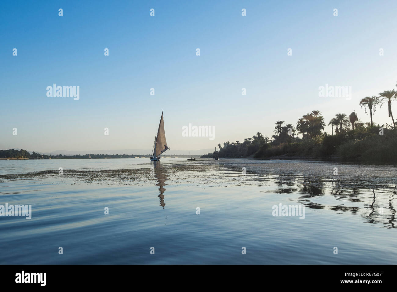 egypt banana island in luxor Stock Photo Alamy