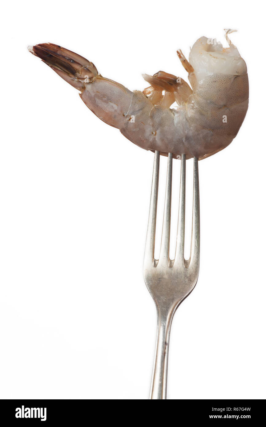 raw shrimp on a fork on white Stock Photo