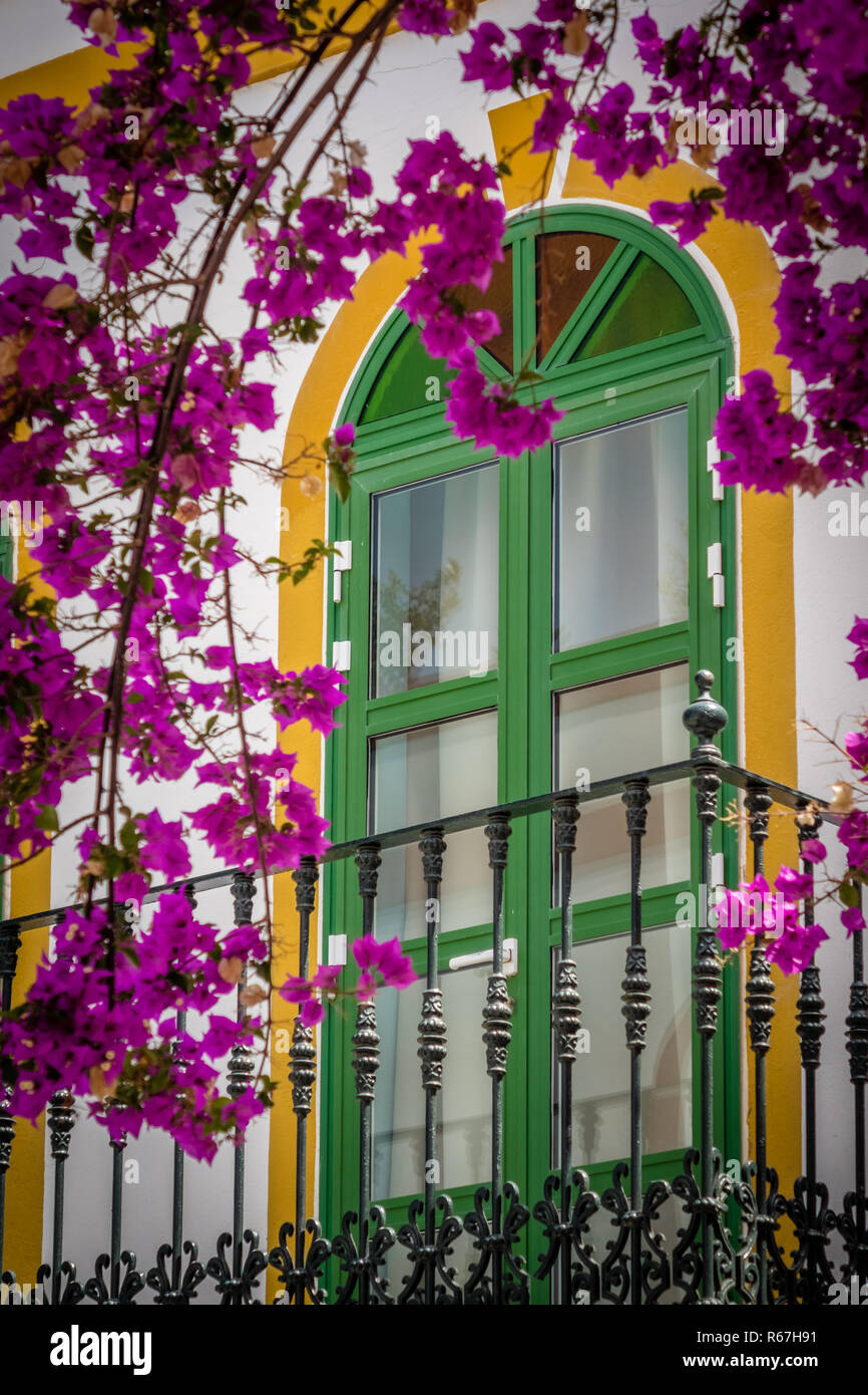 Window and purple flowers Stock Photo - Alamy