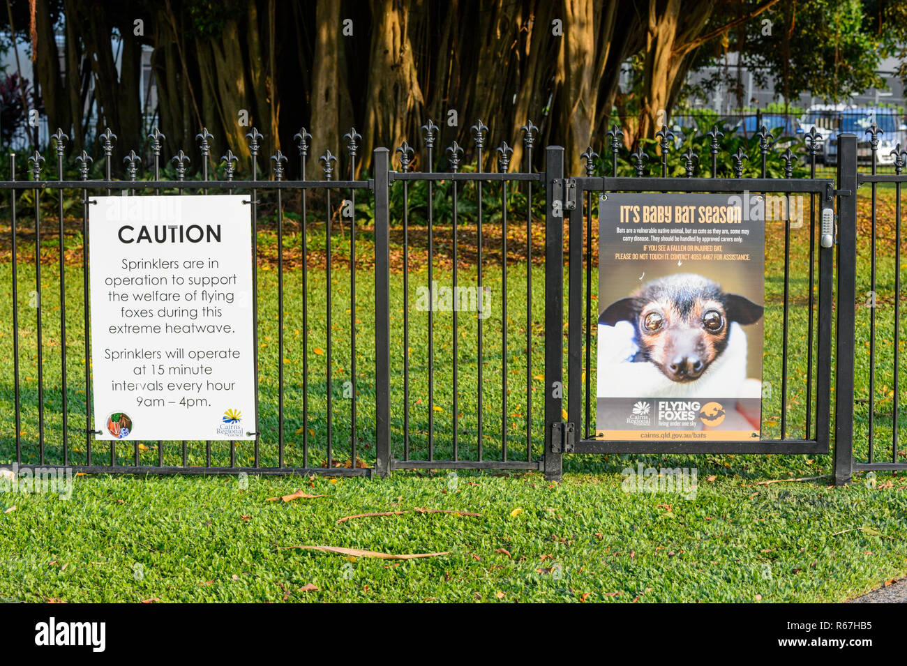 Health warning sign relating to a Spectacled flying fox or Spectacled Fruit Bat colony, Cairns, Queensland, QLD, Australia Stock Photo