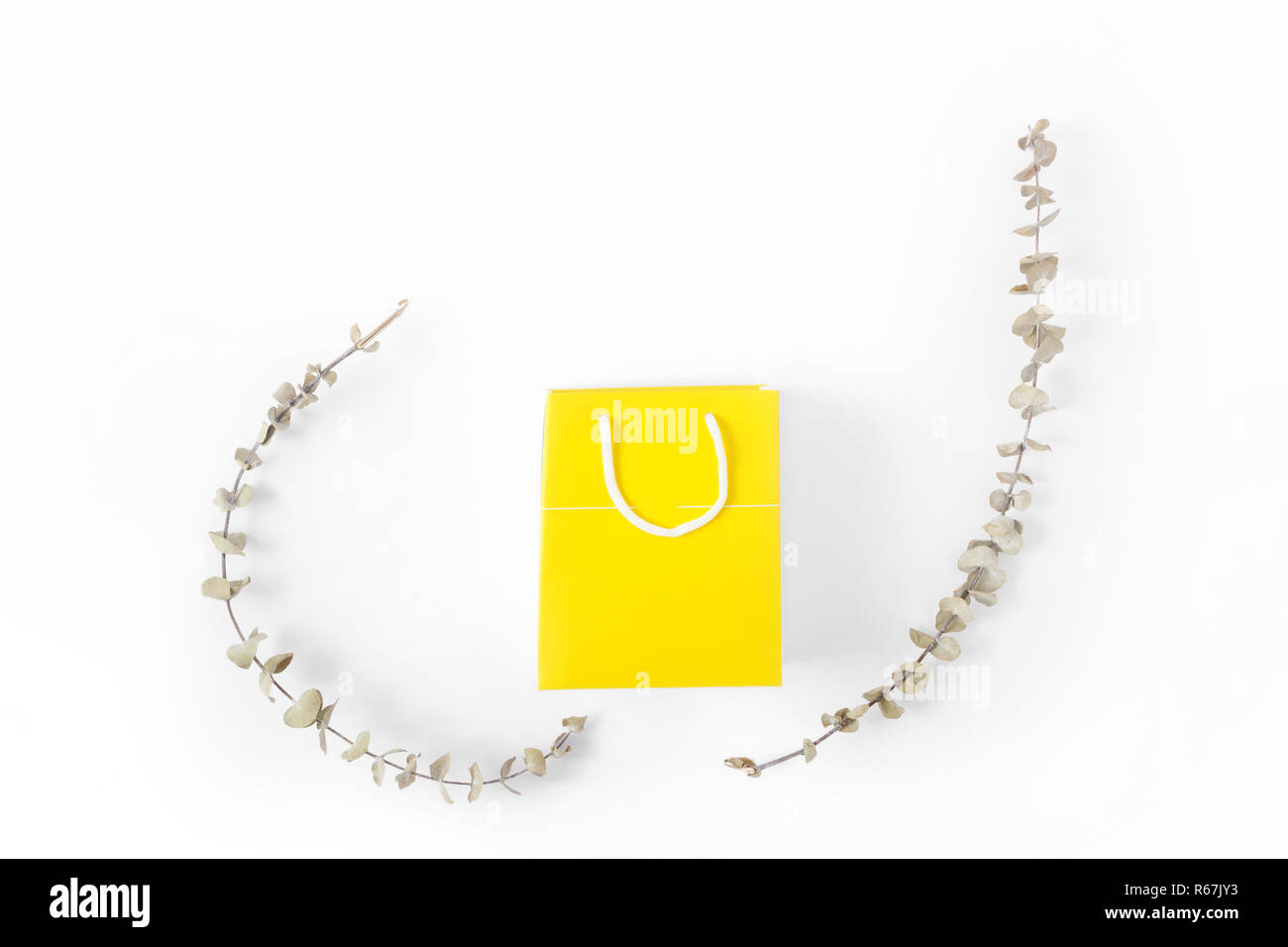 Download Yellow Paper Bag On White Background Top View Flat Lay Stock Photo Alamy Yellowimages Mockups
