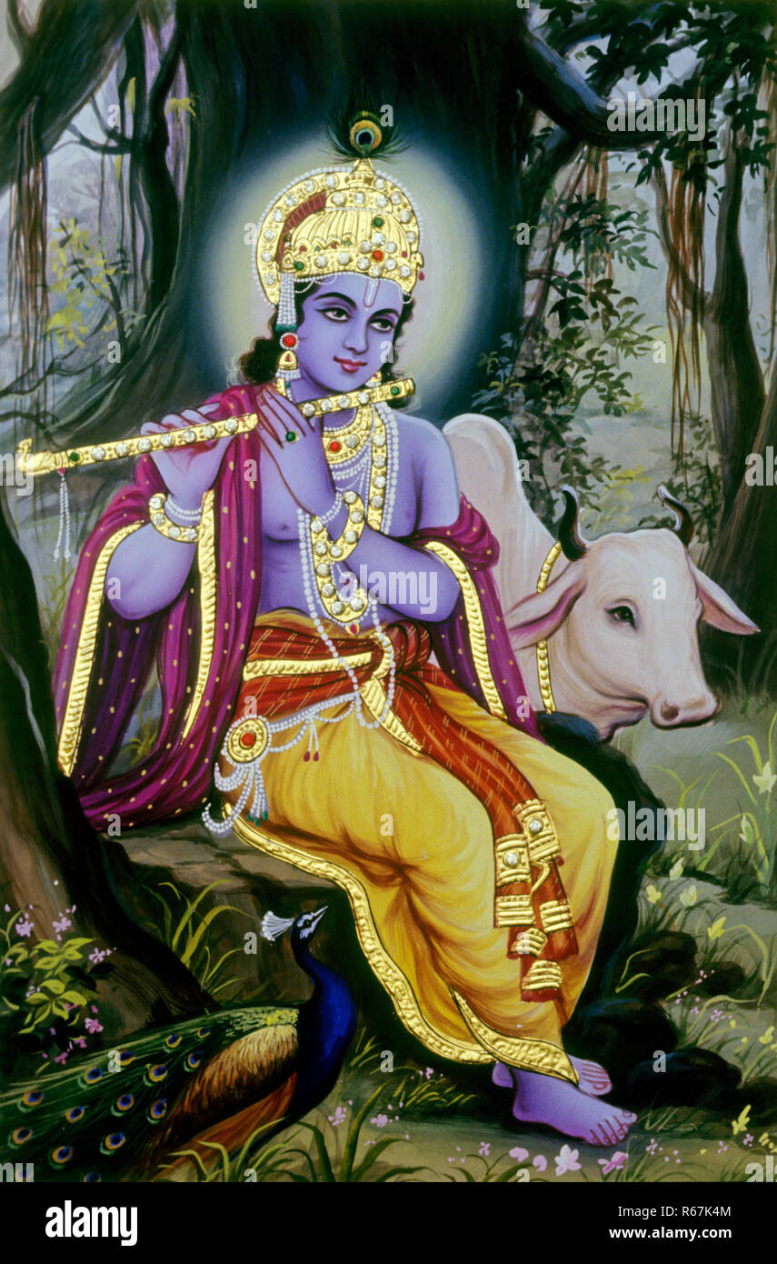 Miniature painting of Lord Krishna in garden with cow and peacock playing musical instrument flute, India Stock Photo
