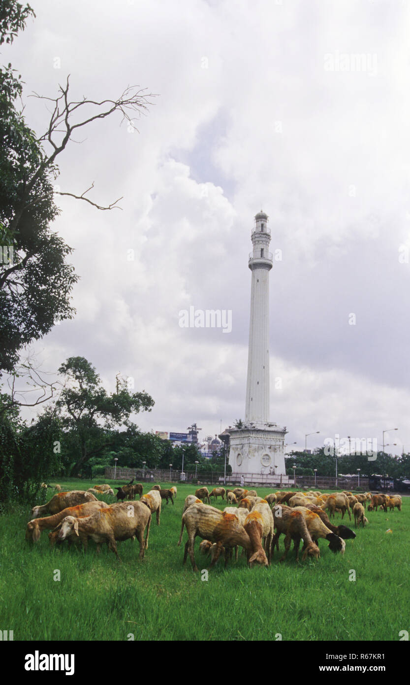 Shaheed Minar, calcutta kolkata, West Bengal, India Stock Photo