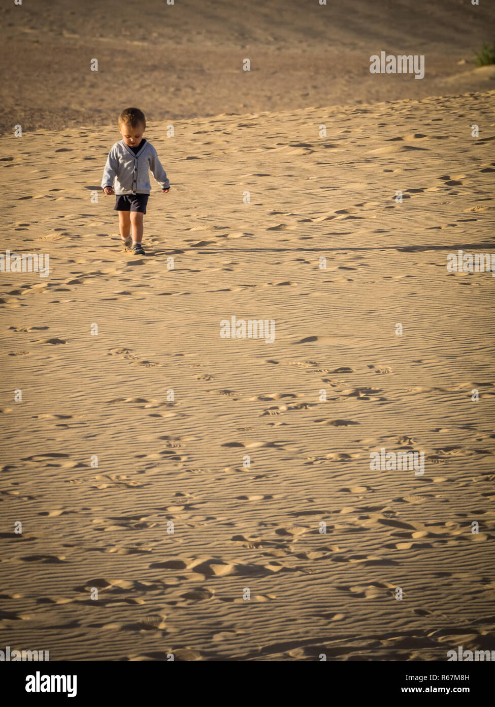 Little boy walking on the sand dunes Stock Photo Alamy