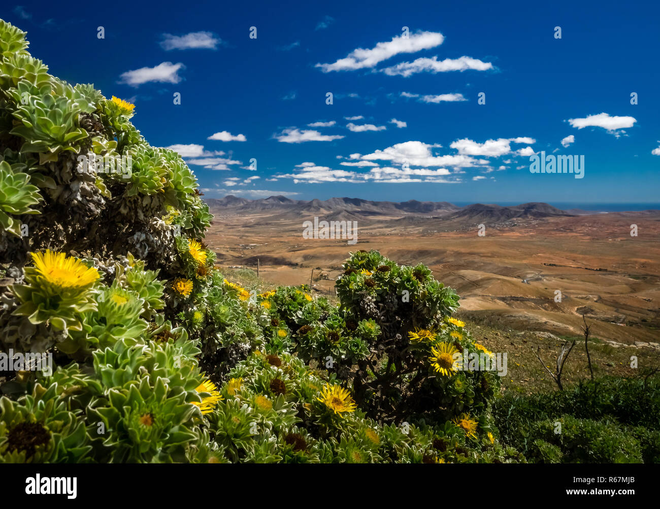 Landscape of Fuerteventura Stock Photo - Alamy