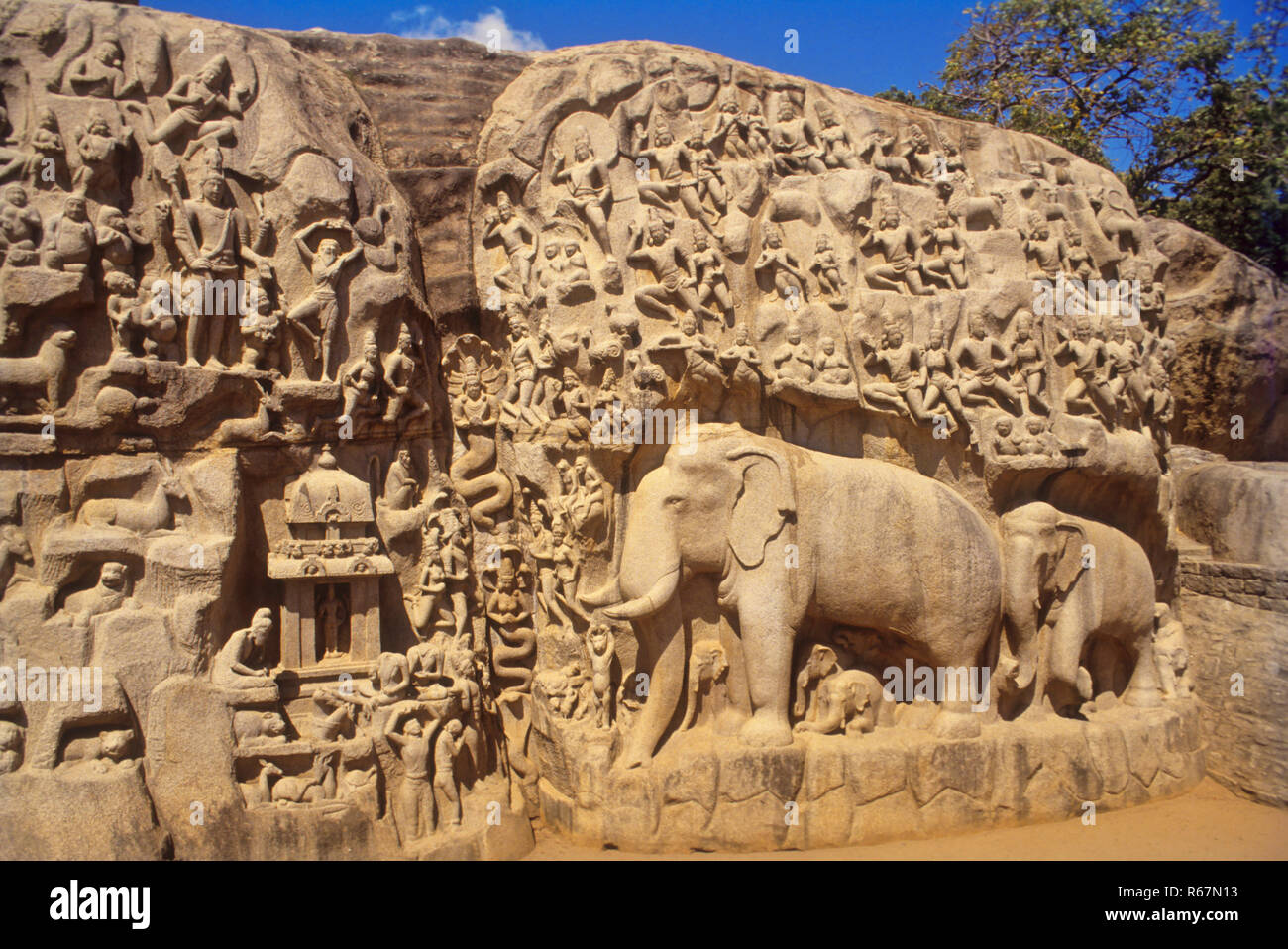 Sculptures Mahabalipuram High Resolution Stock Photography and Images