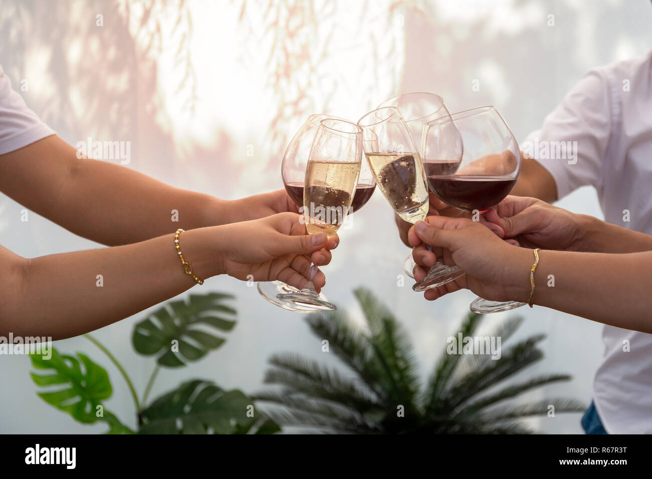 Group of friends raising a toast with glasses of red wine outdoor in summer. Stock Photo