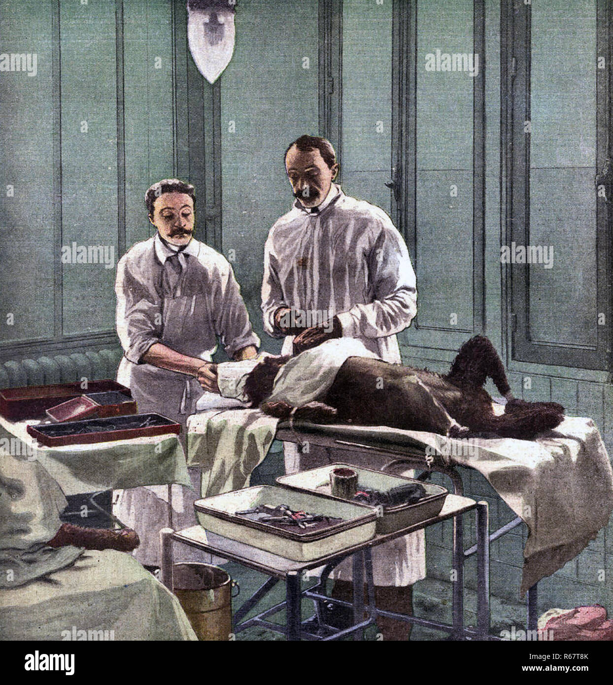 SERGE VORONOFF (1866-1951) Russo-French surgeon experimenting on a dog in 1922 Stock Photo