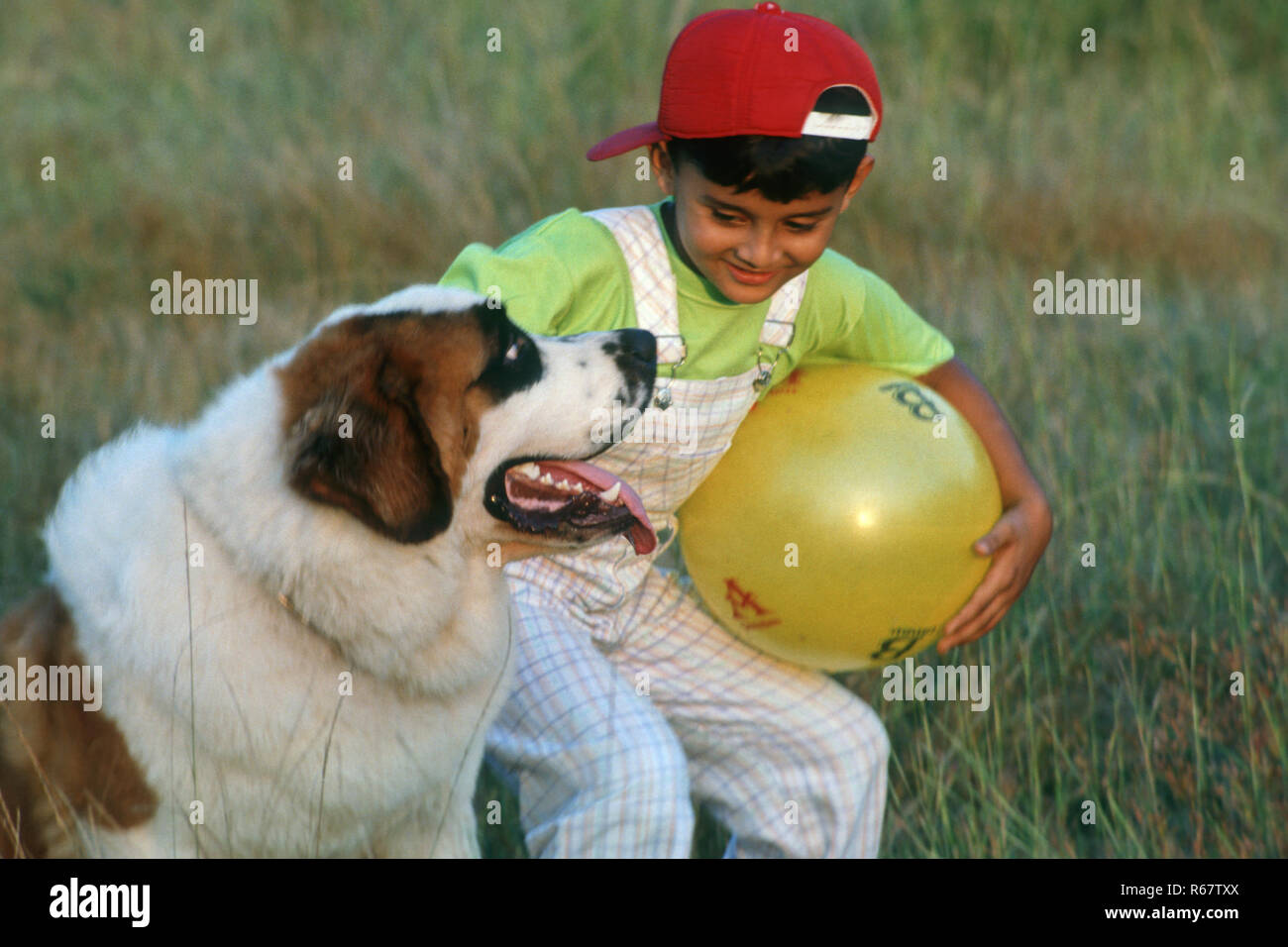 Boy playing with Pet Stock Photo