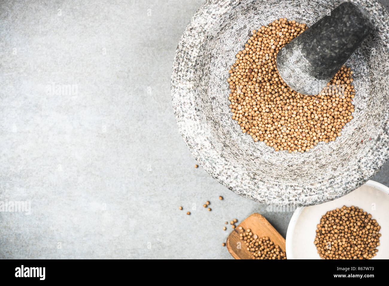 Coriander seeds in granite pestle or mortar. Stock Photo